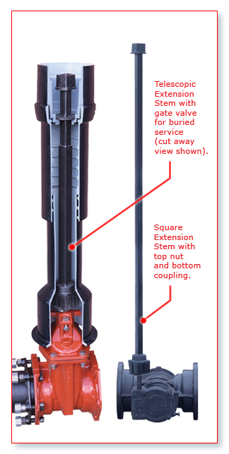 square-stems